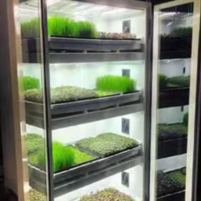 Cámara de crecimiento de plantas (opcional con cargo adicional) 