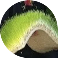 Pasto agropiro